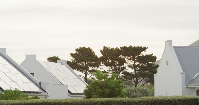 Suburban Homes with Solar Panels at Sunset - Download Free Stock Photos Pikwizard.com