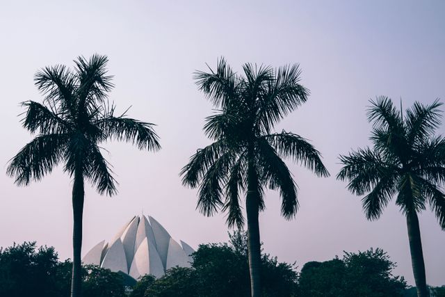 Palm Trees Silhouetted Against Lotus Temple at Sunset - Download Free Stock Photos Pikwizard.com