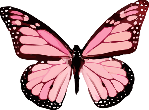 Elegant pink butterfly design on transparent background