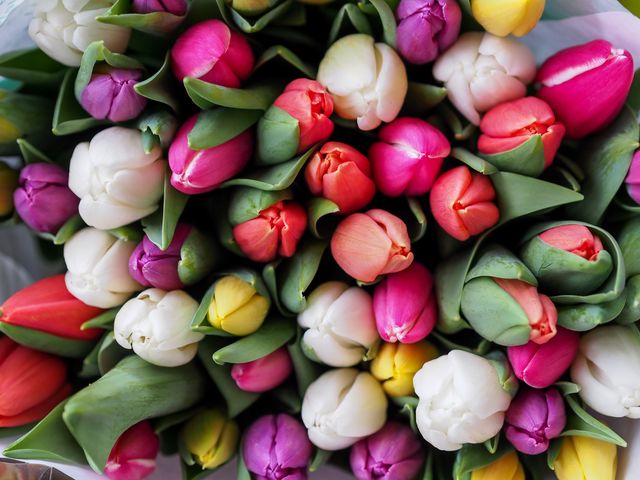 Colorful Mixed Tulip Bouquet Closeup - Download Free Stock Photos Pikwizard.com