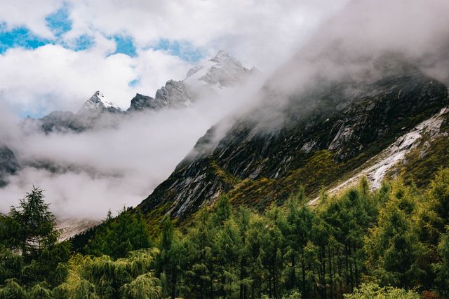 Misty mountain peaks loom above a dense forest. The clouds and mist create a mysterious and serene atmosphere, making it ideal for nature-themed advertisements, travel brochures, and scenic backgrounds for various purposes.