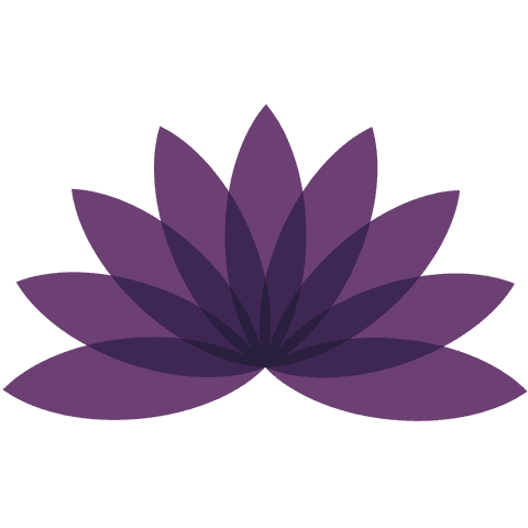 purple lotus abstract design on transparent background - Download Free Stock Videos Pikwizard.com