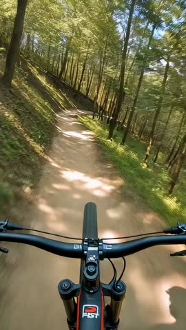 Riding mountain bike on sunlit forest singletrack vertical POV video navigating roots