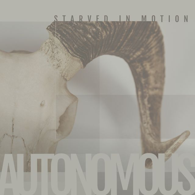 Modern Album Cover Featuring Ram Skull Design with Stylish Typography - Download Free Stock Templates Pikwizard.com