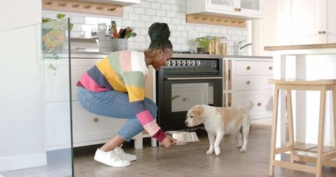 Woman Feeding Adorable Dog in Modern Kitchen