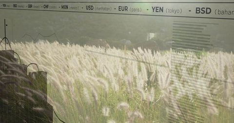 Nature Meets Finance with Grassy Meadow and Digital Currencies