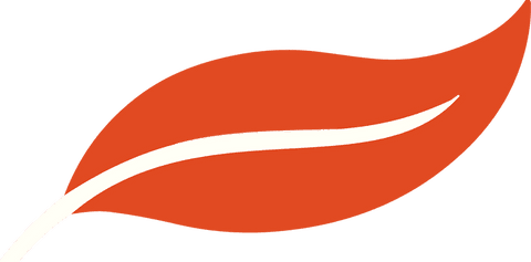 Transparent Stylized Red Orange Leaf with Minimal Design - Download Free Stock Videos Pikwizard.com