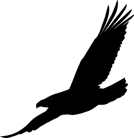 Silhouette of raptor with spreading wings on transparent background