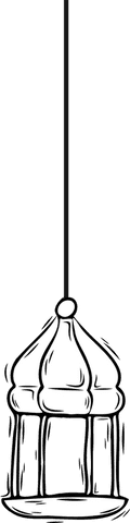 Minimalist hanging bird feeder on transparent background