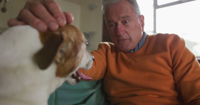 Elderly man in orange sweater petting a small white and brown dog indoors. Can be used to illustrate themes of companionship, aging, home life, and the benefits of having pets. Ideal for publications and advertisements focusing on senior well-being and animal companionship.