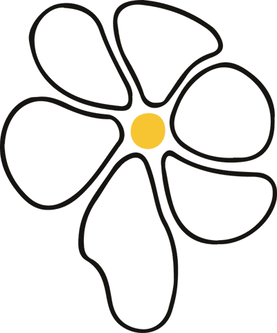 Minimalist Hand-Drawn Flower Icon on Transparent Background - Download Free Stock Videos Pikwizard.com