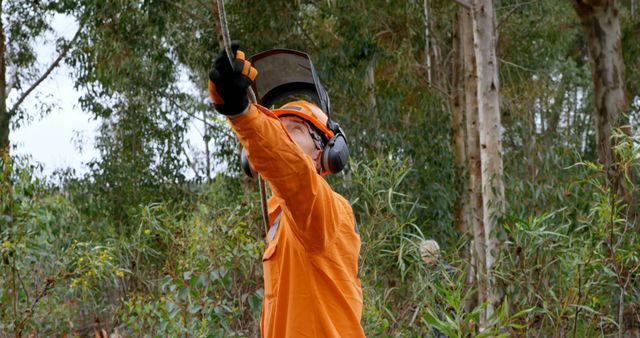 Forestry Worker in Protective Gear Operating Equipment in Forest - Download Free Stock Images Pikwizard.com