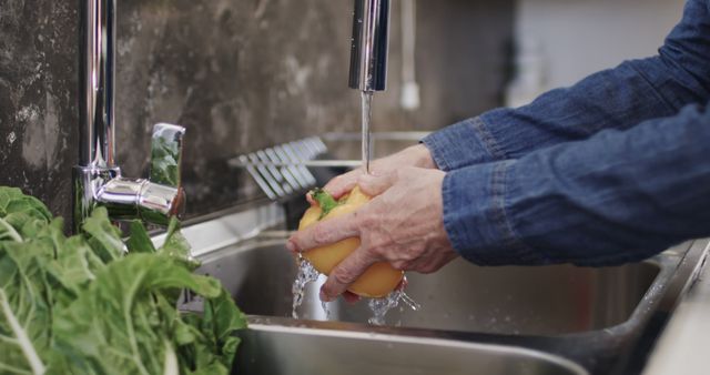 Man Washing Vegetables at Kitchen Sink with Fresh Water - Download Free Stock Images Pikwizard.com