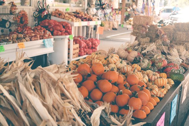 Outdoor farmers market showcasing a vibrant array of pumpkins, squash, and other seasonal vegetables. Ideal for themes related to autumn, harvest festivals, healthy eating, and supporting local businesses. Perfect for promoting community events, local agriculture, and organic produce.