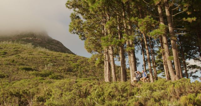 People Taking a Rest at a Scenic Mountain Pine Forest - Download Free Stock Images Pikwizard.com