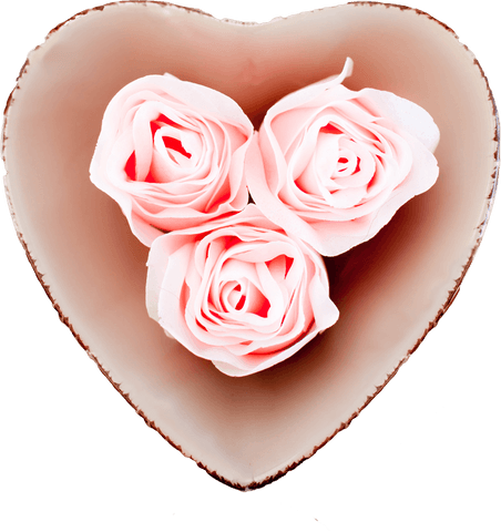 Heart sharing pink roses on transparent background