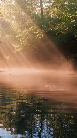 Sunbeams Streaming Through Mist Over Forest Pond, Dawn Ripples Reflecting Canopy Vertical Video