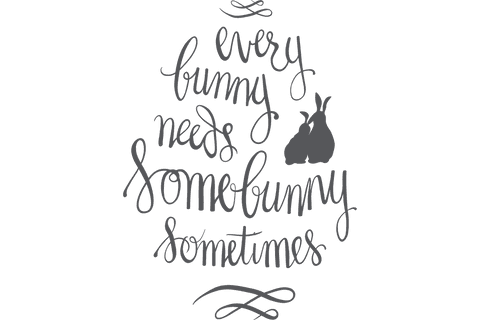 every bunny needs somebunny text on transparent background - Download Free Stock Videos Pikwizard.com