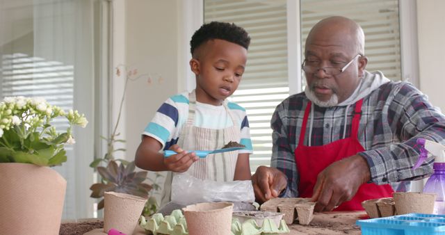 African american grandfather and grandson planting on sunny terrace. Lifestyle, childhood, free time, family, togetherness, organic nature, gardening and domestic life, unaltered.