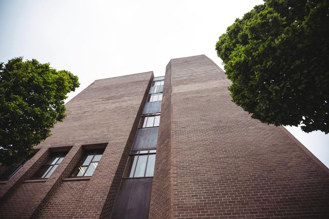 Low angle view of a modern brick building showcasing its architecture with tree tops framing the scene. Suitable for use in urban development projects, architectural presentations, business brochures, or real estate advertisements. Ideal for backgrounds emphasizing modernity and growth.