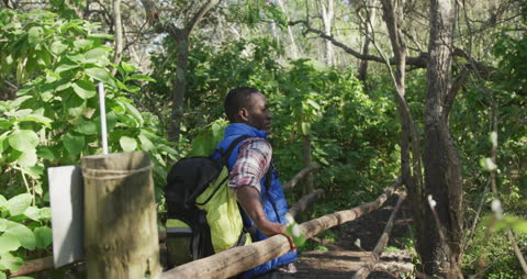 Man Hiking Through Verdant Forest Trail