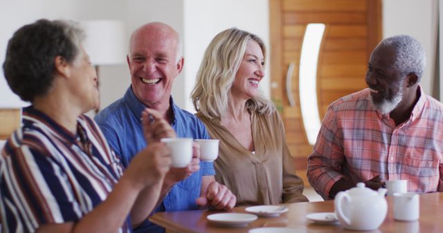 Senior Friends Sharing Coffee and Laughing Together - Download Free Stock Images Pikwizard.com