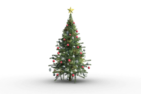Festive Christmas Tree with Clear Background for Seasonal Use - Download Free Stock Videos Pikwizard.com