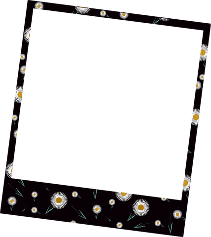 rotating convertible floral frame with white daisies transparent background - Download Free Stock Videos Pikwizard.com