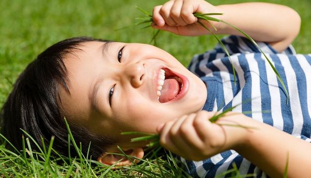 Laughing asian boy lying in sunlit green lawn holding blades of grass wearing striped shirt