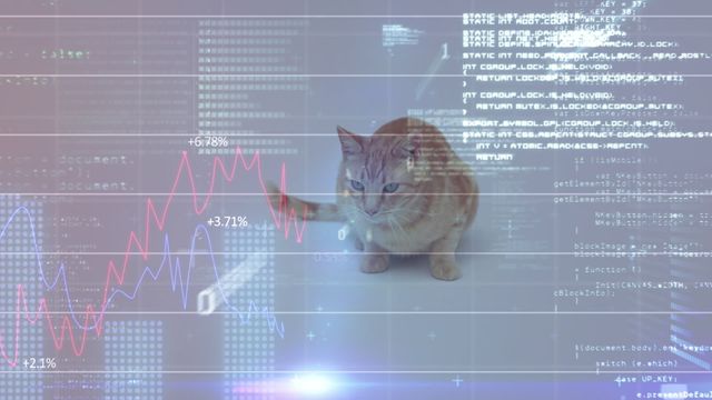 A virtual composition shows a cat walking through projections of coding and stock graphs, evoking a surreal blend of nature with technology. Ideal visual for technology-focused animal themes, finance tech humor, or data innovation concepts.