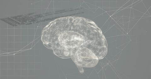 Futuristic Human Brain Interface With Network Connections - Download Free Stock Images Pikwizard.com
