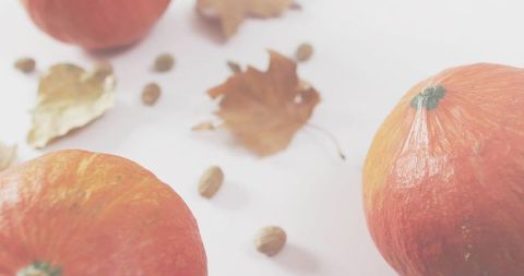 Autumn minimalist flatlay with small orange pumpkins, dried leaves and seeds