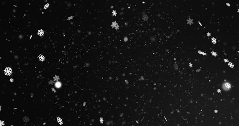 Peaceful Drift of Snowflakes Under the Night Sky