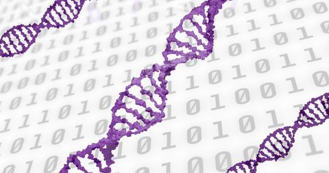 Digital DNA Strand Over Binary Code Background - Download Free Stock Images Pikwizard.com