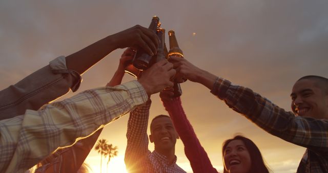 Friends Toasting with Beer Bottles at Sunset Party - Download Free Stock Images Pikwizard.com