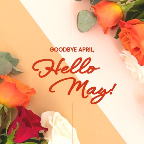 welcoming may with vibrant roses and positive message - Download Free Stock Templates Pikwizard.com