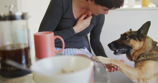 Person Bonding with German Shepherd Over Morning Coffee - Download Free Stock Images Pikwizard.com