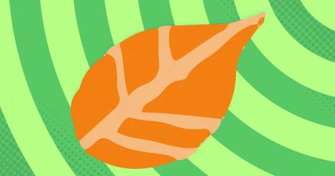 Vibrant orange leaf against green striped background