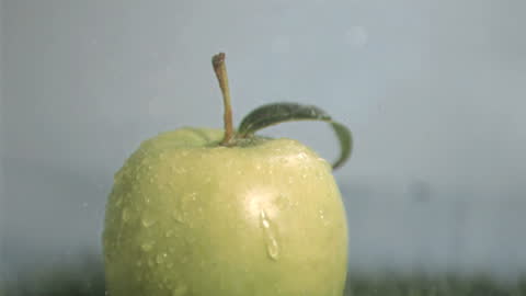 Green Apple in Rain with Dramatic Lighting
