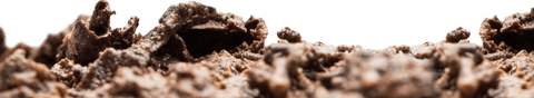 Close-up of dirt texture isolated on transparent background