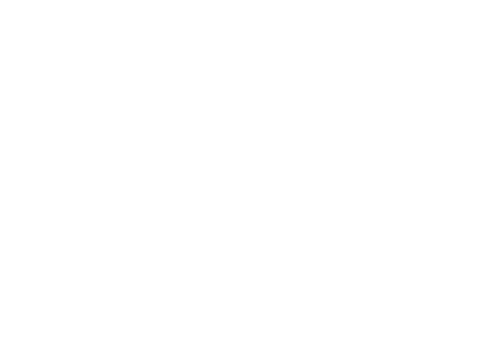 Hand Holding Flag on Transparent Background - Download Free Stock Videos Pikwizard.com
