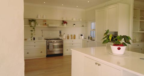 Modern Minimalist Kitchen With Stainless Steel Stove and Plants