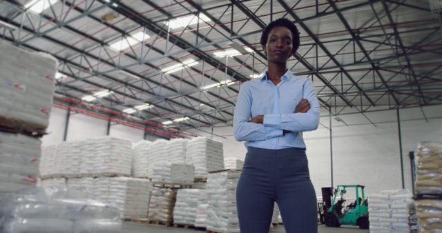 Confident Businesswoman Managing Warehouse Logistics - Download Free Stock Images Pikwizard.com