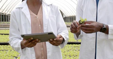 Researchers Studying Plant Growth in Greenhouse