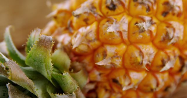 Close-Up of Fresh Pineapple Skin and Crown Leaf Detail - Download Free Stock Images Pikwizard.com