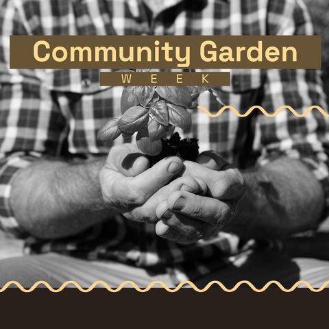 Monochrome hands with plant signifying community garden week