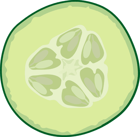 cucumber slice cross section on transparent background - Download Free Stock Videos Pikwizard.com