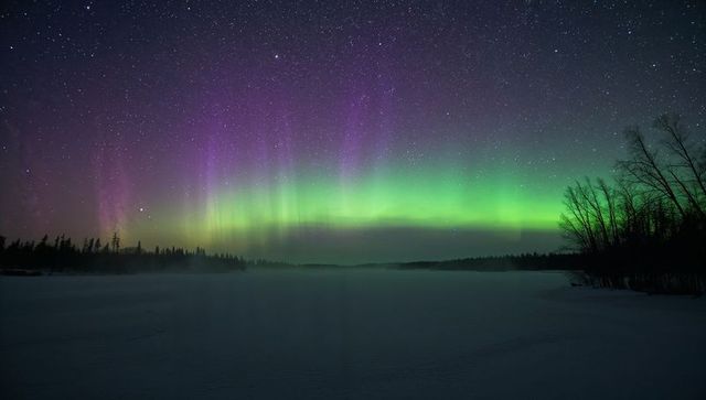 Aurora Borealis Dancing Over Frozen Lake with Mist and Conifer Silhouettes on Starry Night