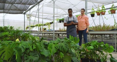 Greenhouse workers inspecting plants in lush nursery setting