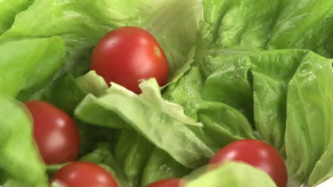 Close-up of Fresh Cherry Tomatoes in Lush Lettuce Leaves